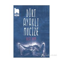Dört Ayaklı Mucize - Julia Romp