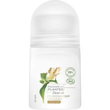 Dove Pouvoir Des Plantes %99 Doğal 24H 50 ml Kadın Roll-On Deodorant