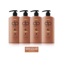 DP Daily Perfection Çörek Yağı 4x500 ml Şampuan