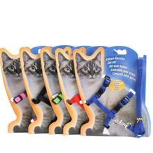 Dr.Sacchi Kedi Göğüs Tasması ve Gezdirme Seti