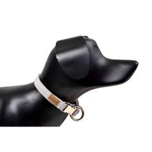 Dubex Gri Köpek Boyun Tasması