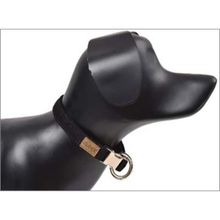 Dubex Siyah Köpek Boyun Tasması