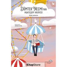 Dümtek Necmi'nin Muhteşem Hikayesi - Özge Akkaya