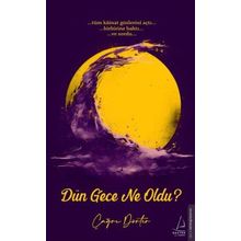 Dün Gece Ne Oldu? Destek Yayınları