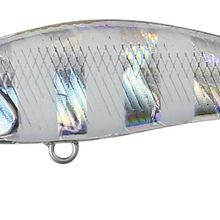 Duo 48HS GJA0101 Tetra Works Toto Zebra Glow Sahte Balık