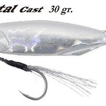 Duo Drag Metal Cast Jig 30 gr PDA0005 Silver Suni Balık Yemi