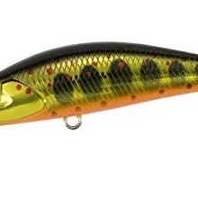 Duo Spearhead Ryuki 50S Takumi MCC4084 Gold Yamame Suni Balık Yemi