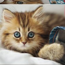 Educa Kitten 200 Parça Çocuk Puzzle