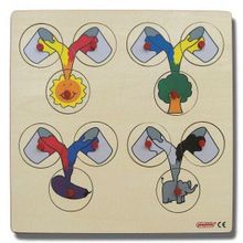 Edutoys 30x30 cm Renk Karıştırma Puzzle