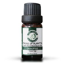 Edy's Organics 10 ml Okaliptus Globulus Uçucu Yağı