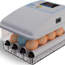 Efe Kuluçka Mini Kuluçka Makinesi 9 Luk