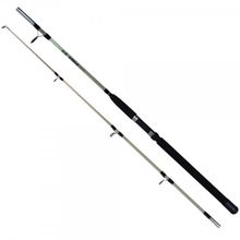 Effe Storm 1,65 m İki Parça Kamış
