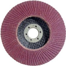 Egesan 115 mm 80 Kum Flap Disk