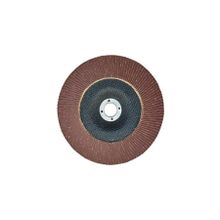 Egesan 180 mm 80 Kum Flap Disk