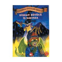 Ejderha Avcıları Okulu 11 - Dikkat! Büyücü İş Başında - Kate Mcmullan