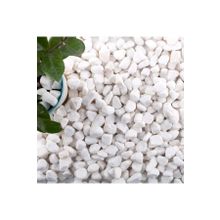 Ekodoğa 1 kg 1-2 cm Beyaz Dolomit Teraryum Taşı Dekoratif Taş