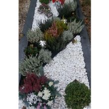 Ekodoğa Dolomit Beyaz 5 kg 2.5-4 cm Dekoratif Taş