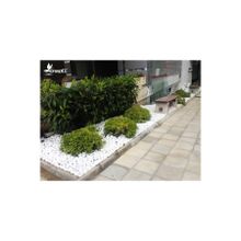 Ekodoğa Loche Dolomit Beyaz 10 kg 2.5-4 cm Dekoratif Taş