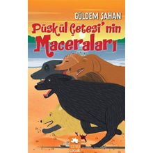 Eksik Parça Yayınları - Püskül Çetesi’nin Maceraları