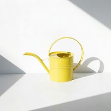Ella 1 Litre Metal Çiçek Saksı Sulama Kabı - Modern Dekoratif Çok Amaçlı Sulak - Sarı