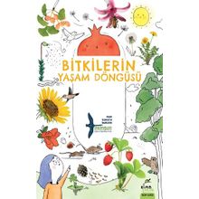 Elma Çocuk Bitkilerin Yaşam Döngüsü