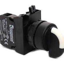 Emas CP100S20 0-1 Seçici Buton