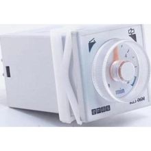 Emas RZ1A2C12S-2 12 SN Analog 24 V Zaman Rölesi