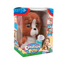 Emotion Pets Evcil Hayvanlar