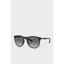 Emporio Armani 0EA4210 500111 Erkek Güneş Gözlüğü