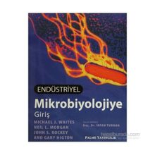 Endüstriyel Mikrobiyolojiye Giriş - Michael J. Waites Neil L. Morgan John S. Rockey Gary Higton Neil L. Morgan
