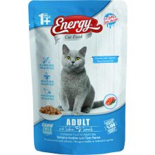 Energy 24x85 gr Somonlu Yetişkin Yaş Pouch Kedi Maması