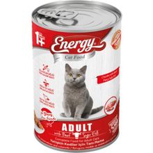 Energy 500 gr Sığır Etli Konserve Yetişkin Kedi Maması