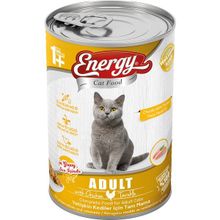 Energy Cat Food Tavuklu Yetişkin Islak 400 gr Kedi Maması