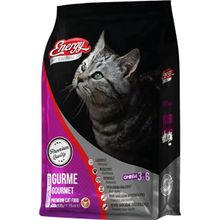 Energy Gurme 2x500 gr Yetişkin Kuru Kedi Maması