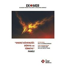 Enerji Güvenliği Dünya ve Türkiye Paneli 2010 - kollektif