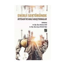 Enerji Sektöründe İktisadi ve Mali Araştırmalar - Mahmut Dağ