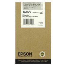 Epson C13T602900 T6029 Duble Açık Siyah Orijinal Kartuş