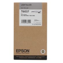 Epson T6037-C13T603700 Açık Siyah Kartuş