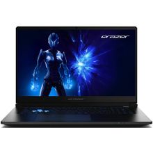Erazer Defender 17 P1 MD62757 i7-13620H 16GB RAM 1TB SSD RTX 5060 FreeDOS 17.3 inç Oyun Bilgisayarı
