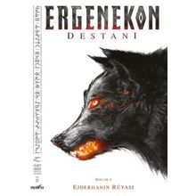 ERGENEKON DESTANI - AHMET ÖZDEMİR