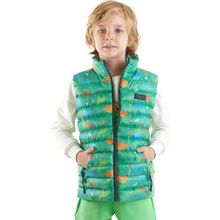 Erkek Çocuk Dinozor Baskılı Trend Şişme Yelek Ak216263, Yeşil, 3 Yaş