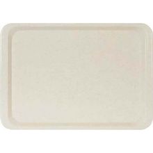 Erkoplas ERKO0107 Polyester 37x53 cm Anti Bakteriyel Bej Servis Tepsisi