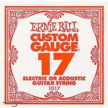 Ernie Ball P01017 .017 Gitar Tek Teli