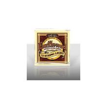 Ernie Ball P02010 Akustik Gitar Tel Seti