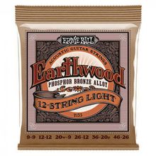 Ernie Ball P02153 Akustik Gitar Teli