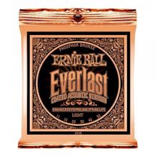 Ernie Ball P02548 Akustik Gitar Tel Seti