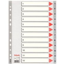 Esselte SLT-100106 1-12 Rakamlı Seperatör