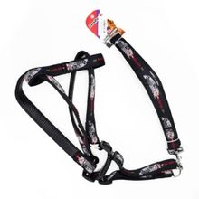 Euro Dog Siyah 26 mm 120 cm Köpek Uzatma Tasması + Göğüs Tasması Takımı