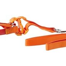 Euro Dog Turuncu 25 mm 120 cm Köpek Uzatma Tasması ve Göğüs Tasması Takımı