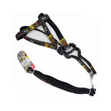 Eurodog Siyah 20 mm 120 cm Köpek Uzatma +Göğüs Tasması
